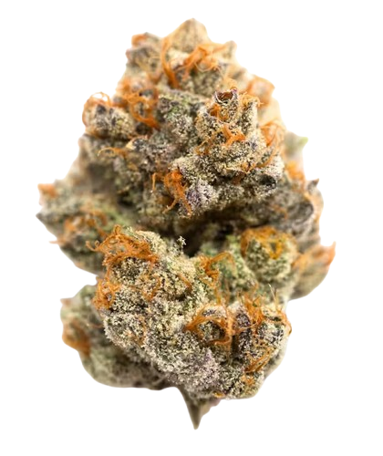 Banana Cream Jealousy Strain