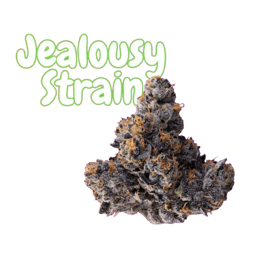 jealousy strain
