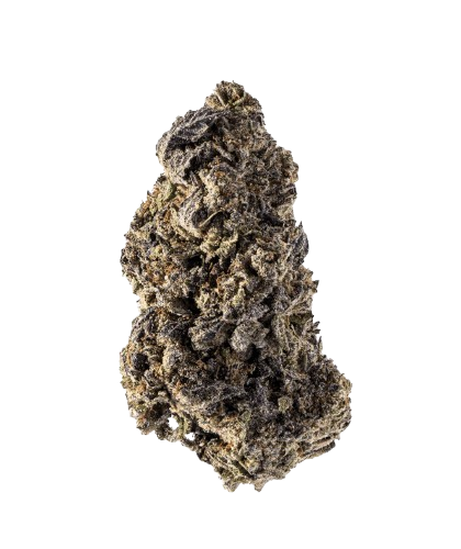 Jealousy Split Strain