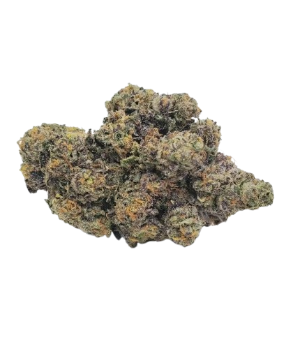 Jealousy F2 Strain