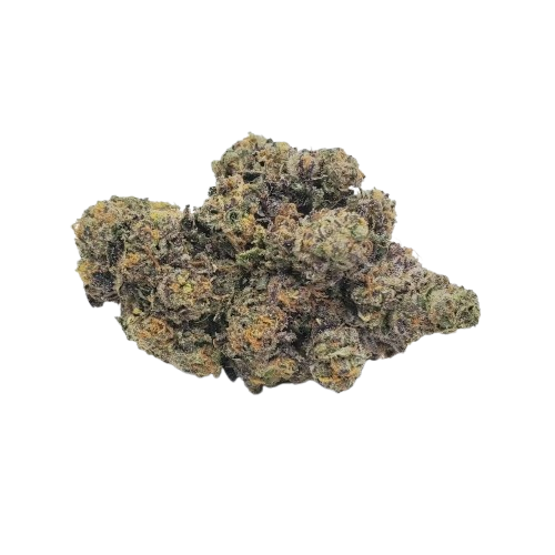 Jealousy F2 Strain