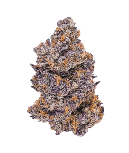 Purple Jealousy Strain