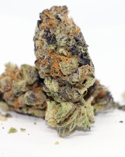 Black Cherry Punch (28g)